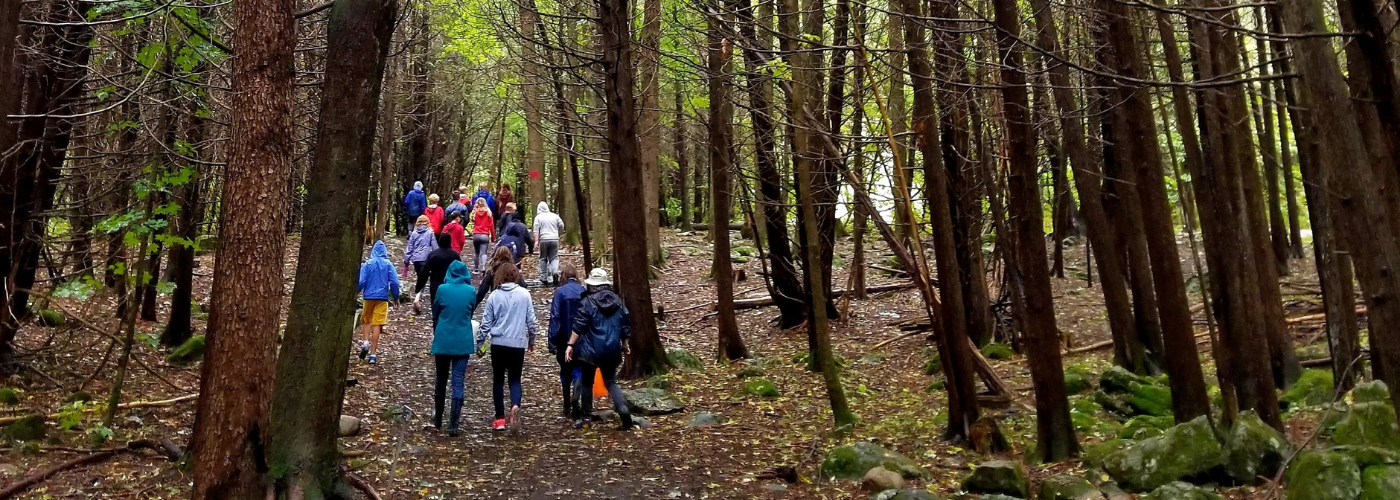 Group of people walking down forested trail